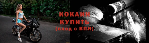 прущие грибы Рославль