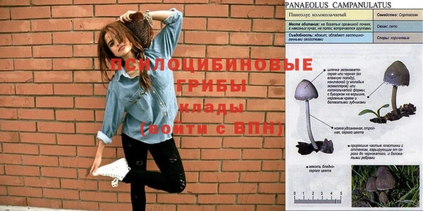 jwh Магас