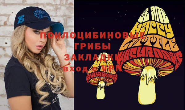 гидропоника Липки