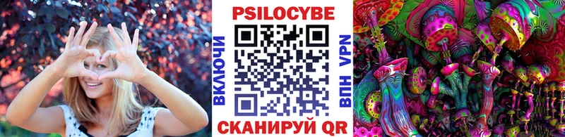 hydra ТОР  Чебаркуль  Галлюциногенные грибы мицелий  сколько стоит 