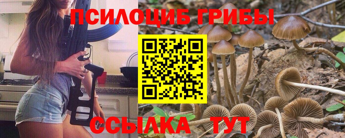 Галлюциногенные грибы MAGIC MUSHROOMS  наркота  Чебаркуль  Вход с VPN 