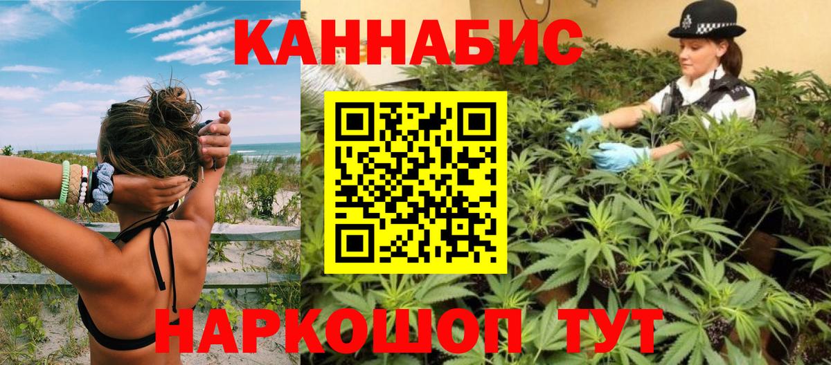 Канабис семена  Каннабис Amnesia  Бошки Шишки Ganja  Чебаркуль  Вход с VPN  Конопля семена 